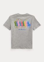 C15-03-0010 Big Pony Cotton Jersey Tee - Andover Heather - Image 2