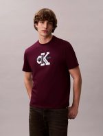 Dimensional Monologo Graphic Classic T-Shirt Men-Passion Plum