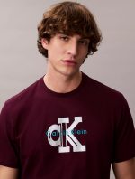 Dimensional Monologo Graphic Classic T-Shirt Men-Passion Plum - Image 2