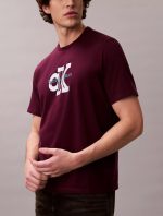 Dimensional Monologo Graphic Classic T-Shirt Men-Passion Plum - Image 3