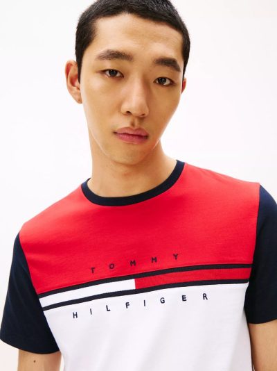 Colorblock Flag Stripe Logo T-Shirt - Optic White Colorblock Multi #78JB107 - Image 2