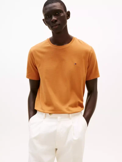 Men Everyday T-Shirt - Spice Brown #78JA560 - Image 1