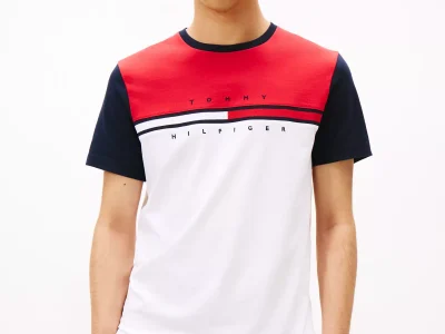 Colorblock Flag Stripe Logo T-Shirt - Optic White Colorblock Multi #78JB107