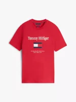 Embroidered Flag Logo T-Shirt-Medium Red - Image 2