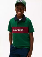 Kids' Colorblock Hilfiger Logo Polo - Ornamental Green #XB01586-L6K