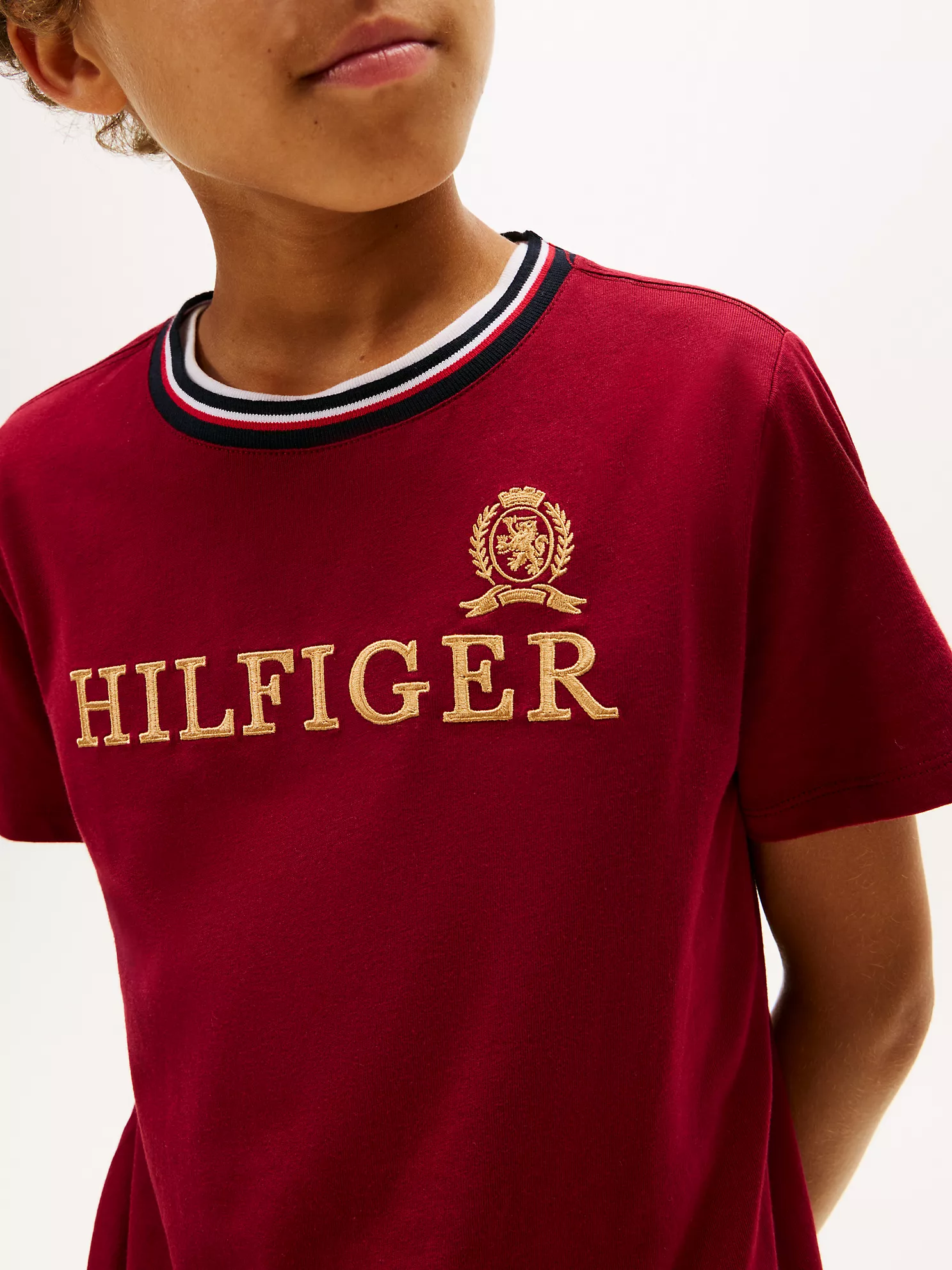 XB01848_XJS_alternate1 Kids' Hilfiger Crest Logo T-Shirt-Rouge - Image 4