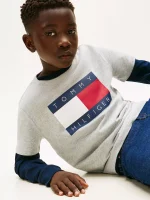 Kids' Tommy Flag Logo T-Shirt-Light Grey Heather - Image 4