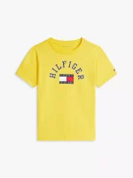 Kids' Arch Hilfiger Flag Logo T-Shirt-Pollen - Image 2