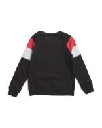 CHAMPION Big Boys Raglan Sleeve Pieced Crew Neck Sweatshirt -1001017245 - Image 2