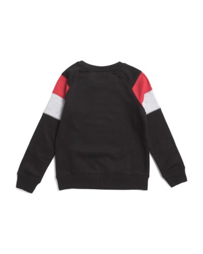 CHAMPION Big Boys Raglan Sleeve Pieced Crew Neck Sweatshirt -1001017245 - Image 2