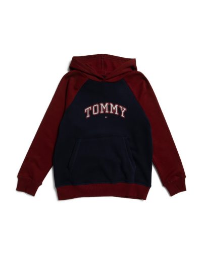 TOMMY HILFIGER Raglan Hoodie Big Boys - Navy Blazer #1001095419 - Image 1