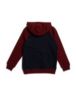 TOMMY HILFIGER Raglan Hoodie Big Boys - Navy Blazer #1001095419 - Image 2