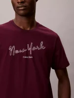 New York Logo Graphic Classic T-Shirt-Passion Plum - Image 3