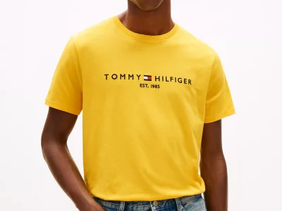 Embroidered Tommy Logo T-Shirt-Pollen