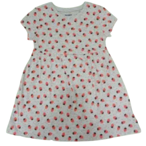 C12-05-0176-002T OldNavy Strawberry Dress GREY