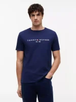 Embroidered Tommy Logo T-Shirt-Light Navy