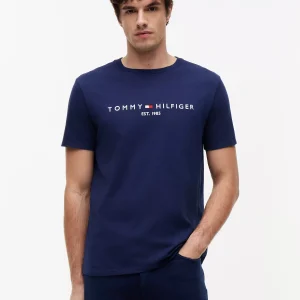 Embroidered Tommy Logo T-Shirt-Light Navy