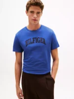 Hilfiger Arch Logo T-Shirt-Dazzling Blue