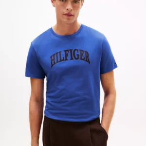 Hilfiger Arch Logo T-Shirt-Dazzling Blue