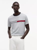 Embroidered Flag Logo T-Shirt-Grey Heather