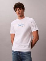 Calvin Script Logo Graphic Relaxed T-Shirt-Bright White