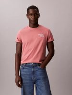 Embroidered Logo Graphic Classic T-Shirt-Light Mahogany