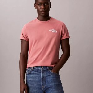 Embroidered Logo Graphic Classic T-Shirt-Light Mahogany