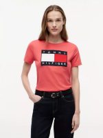 Flag Logo T-Shirt-Vintage Red