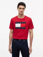 Big Flag Logo T-Shirt-Medium Red