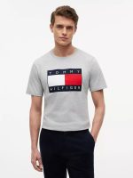 Big Flag Logo T-Shirt-Grey Heather