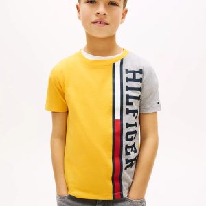 Kids' Vertical Colorblock Logo T-Shirt-Pollen