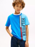 Kids' Vertical Colorblock Logo T-Shirt-Dynamic Blue