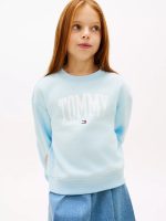 Kids' Tommy Logo Sweatshirt-Rain Dance