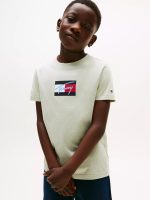 Kids' Script Flag Logo T-Shirt-Misty Sage