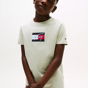 Kids' Script Flag Logo T-Shirt-Misty Sage