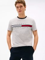 Embroidered Flag Stripe Logo T-Shirt-Grey Heather