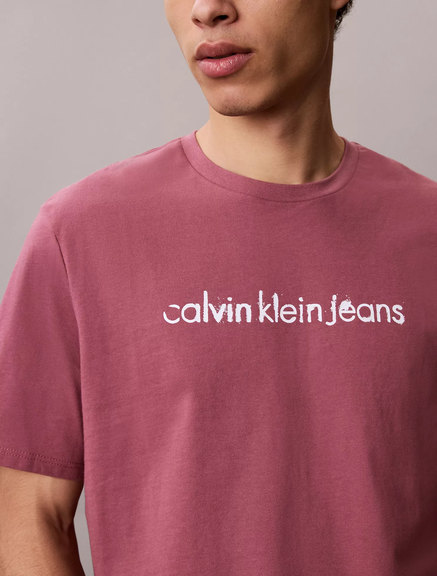 Lowercase Logo Graphic Classic T-Shirt-Renaissance Rose - Image 2