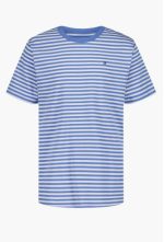 Tommy Hilfiger Kids' Clean Stripe T-Shirt-Spring Blue