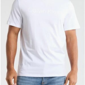 Calvin Klein Standard Logo Cotton Crewneck T-Shirt-Brilliant White