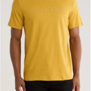 Calvin Klein Standard Logo Cotton Crewneck T-Shirt-Harvest Gold