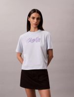 Raised Logo Graphic Boxy T-Shirt-Ancient Water