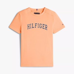 Kids' Hilfiger Varsity Logo T-Shirt-Faded Sun Kiss