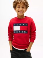 Kids' Flag Badge Sweatshirt-Primary Red