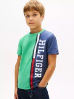 Kids' Vertical Colorblock Logo T-Shirt-Aloha Green