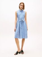 Belted Gingham Seersucker Midi Dress-Blue Gingham