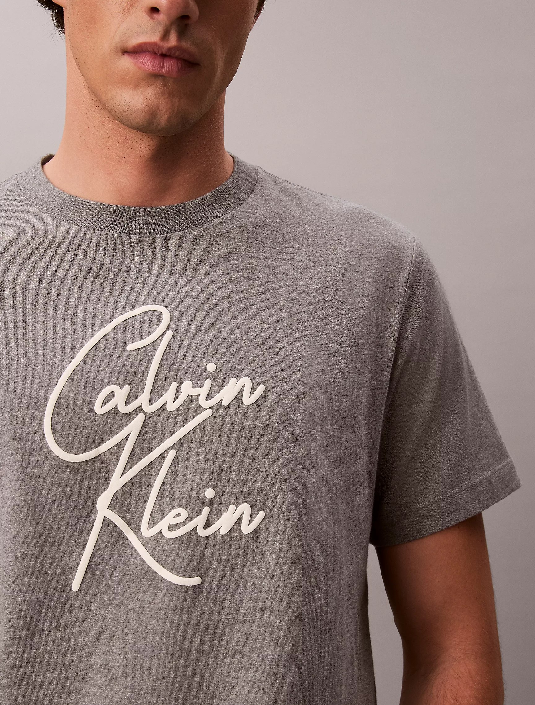 Script Logo Relaxed T-Shirt-Grey Heather - Image 3