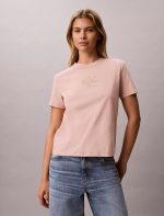 Foil Monologo Graphic Classic T-Shirt-Tuscan Wind