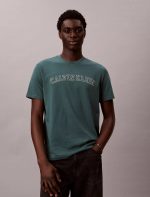 Varsity Logo Graphic Classic T-Shirt-Vineyard