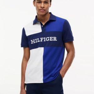 Regular Fit Colorblock Polo-Wedge Blue/White Colorblock