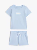 Babies' Flag Logo T-Shirt & Short Set-Sweet Blue